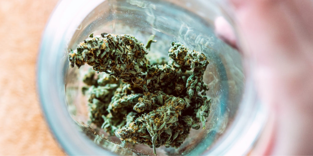 Best Strains for Pain