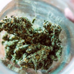 Best Strains for Pain