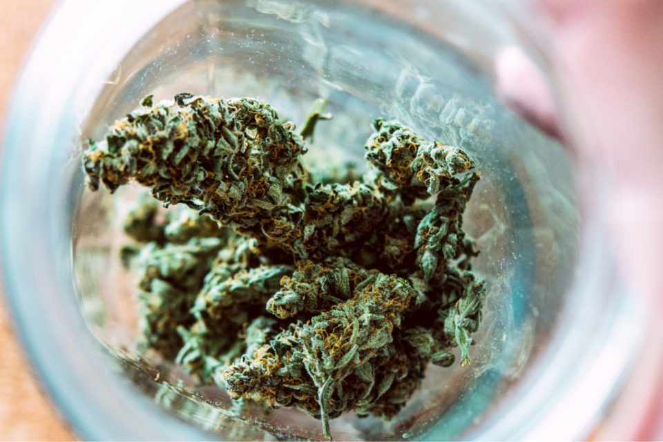 Best Strains for Pain