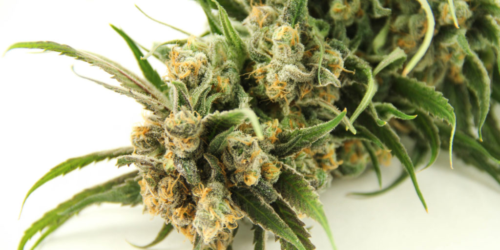 Best strains for anxiety