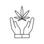 cannabis companies