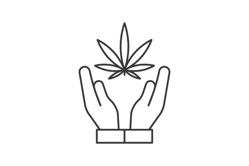 cannabis companies
