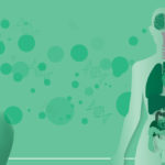 endocannabinoid system